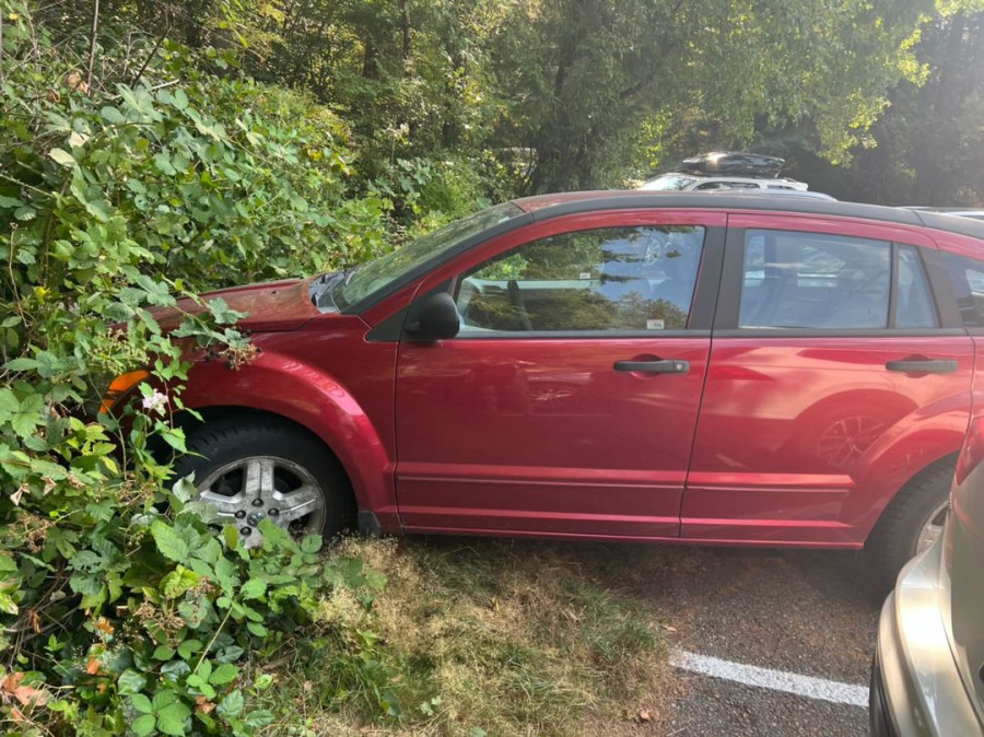 紅色私家司機已離開，似乎無阻出行興致。TikTok圖