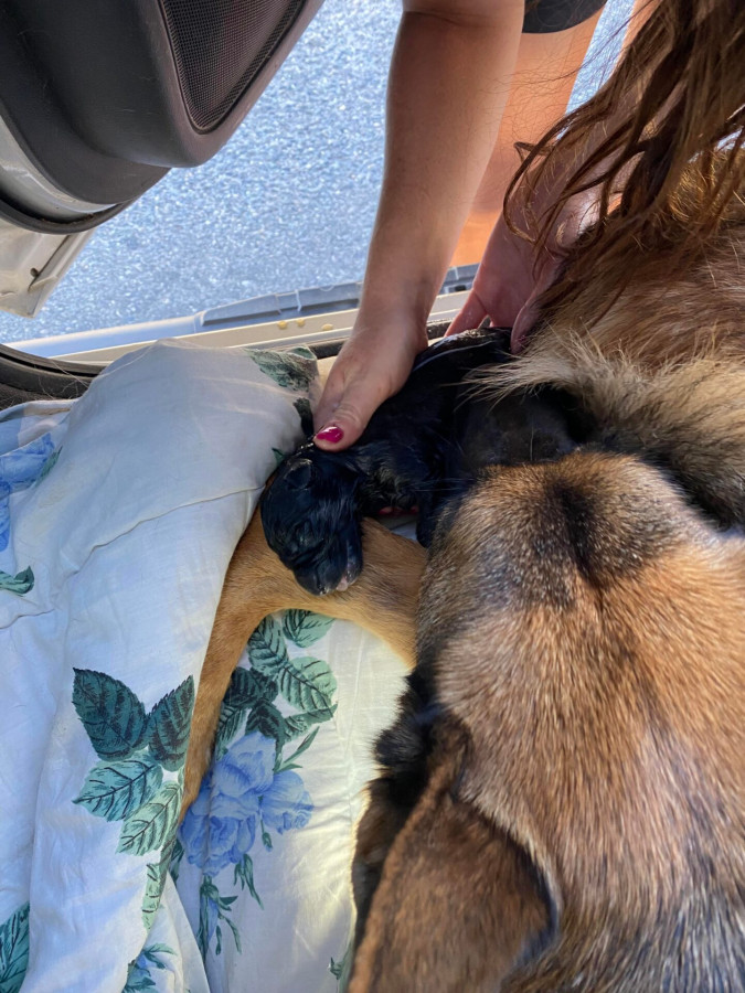 302402284_605344207912921_7134330029231937768_n