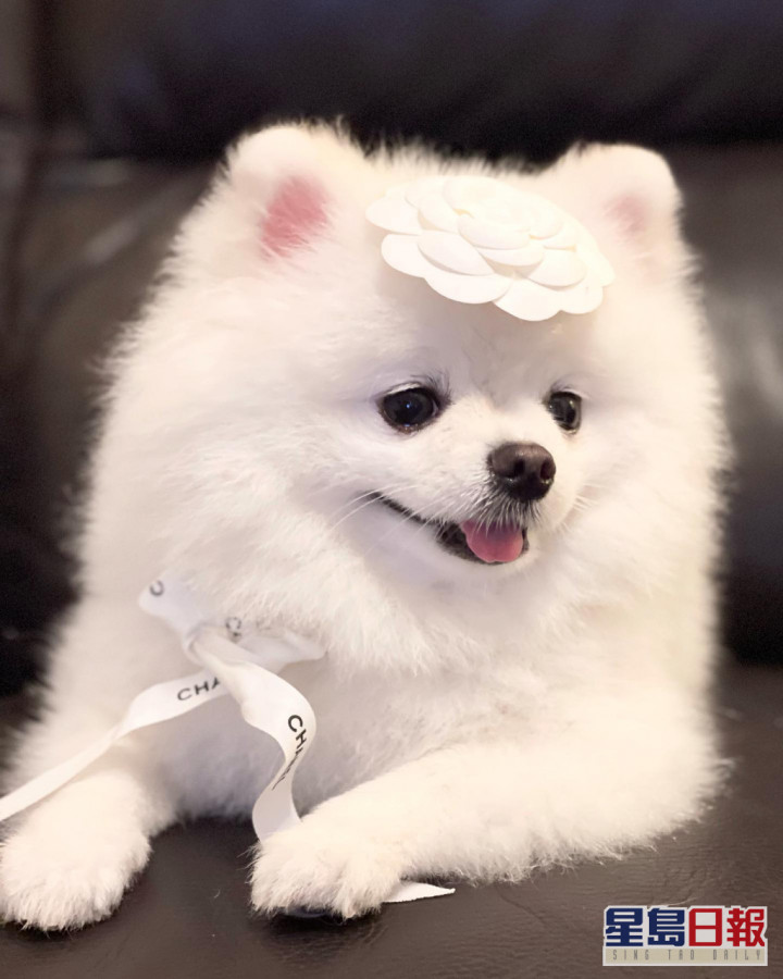 302438075_813322819859660_6821145161711604905_n