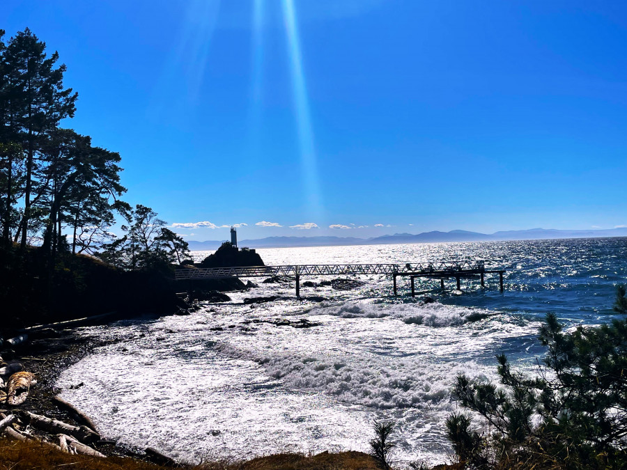 圖：星島記者王弘樹攝