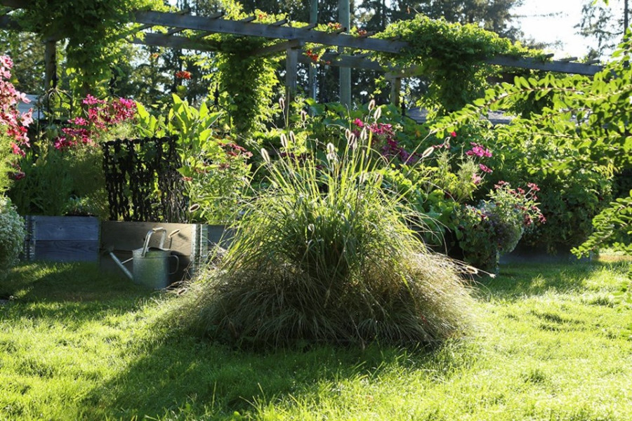 beetle-bump-1-web.jpg;w=960;h=640;bgcolor=000000