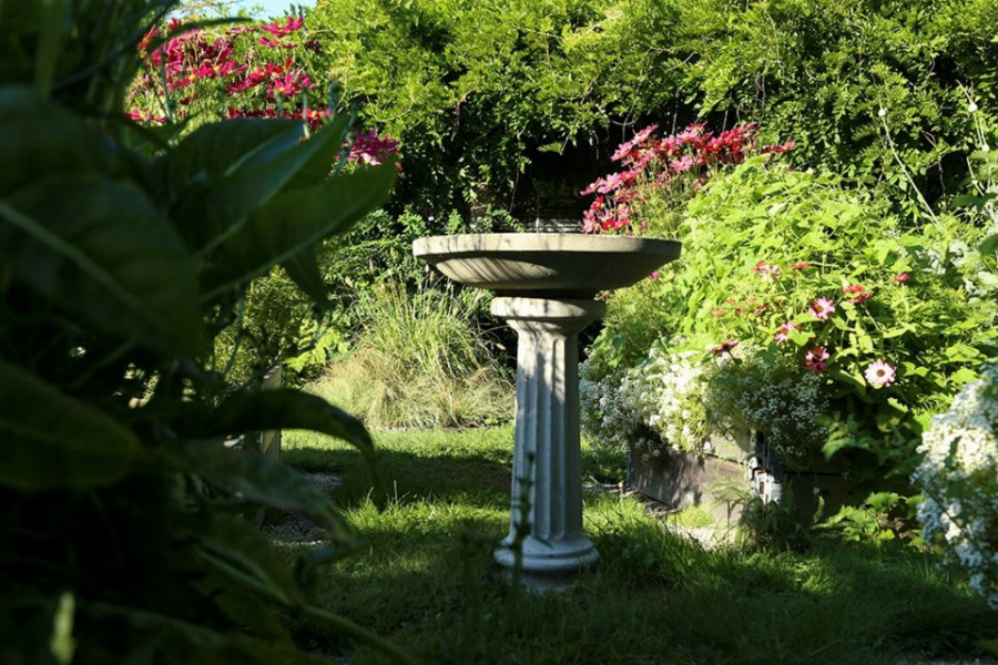 beetle-bump-2.jpg;w=960;h=640;bgcolor=000000