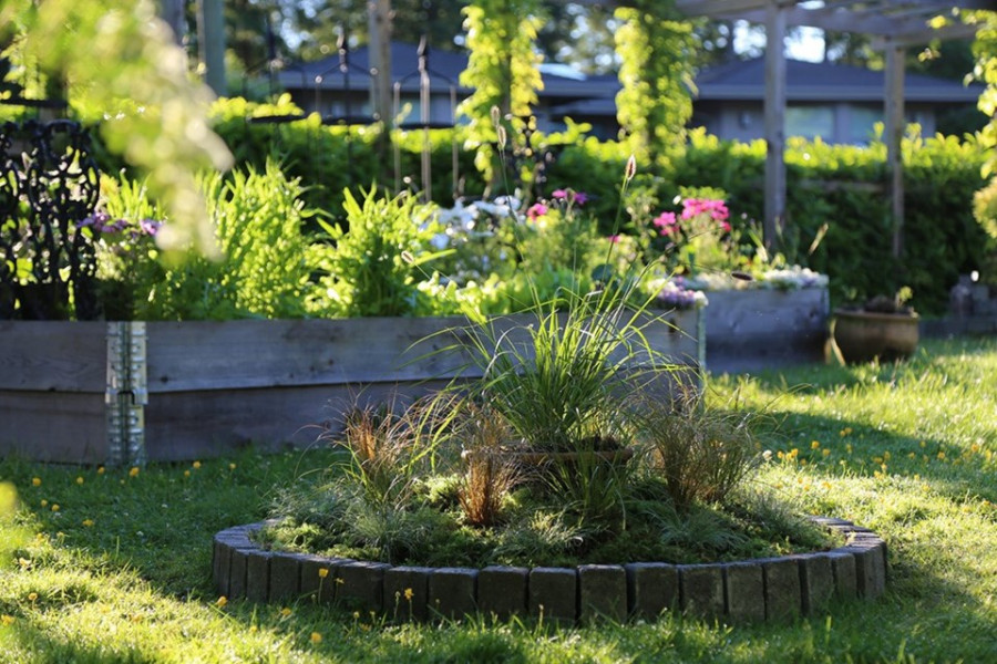 beetle-bump-3.jpg;w=960;h=640;bgcolor=000000