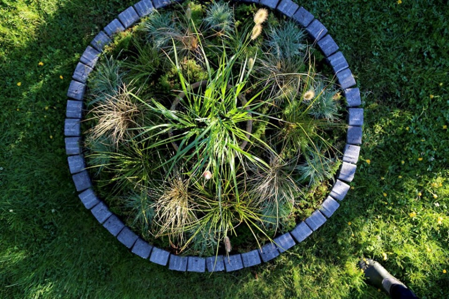 beetle-bump-4.jpg;w=960;h=640;bgcolor=000000