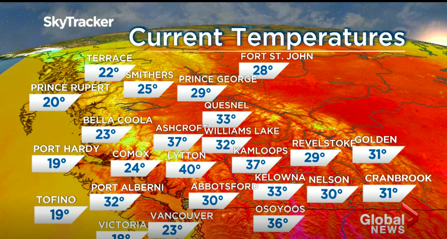 截圖 2022-09-03 下午5.06.16