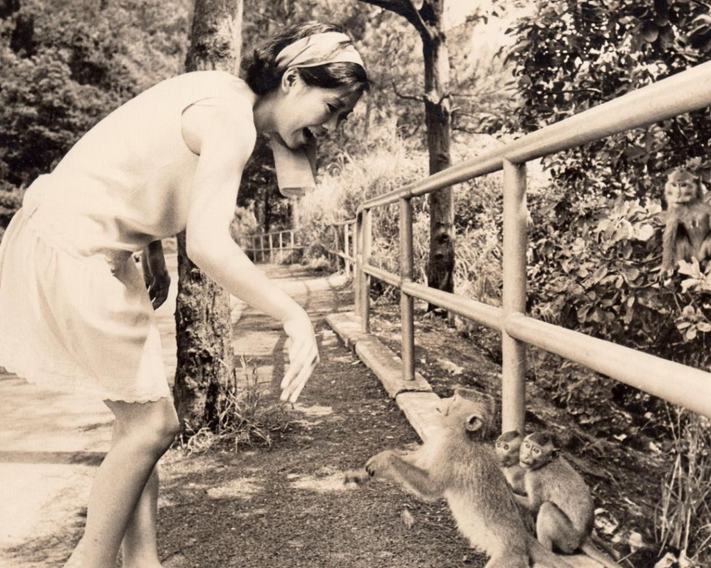 116541625_219882815957963_4196520032073746792_n