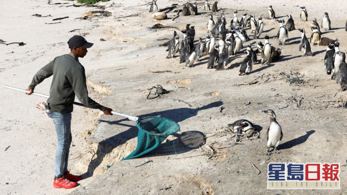 _2022100416485070925