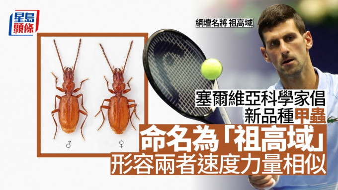 _2022100915534023590