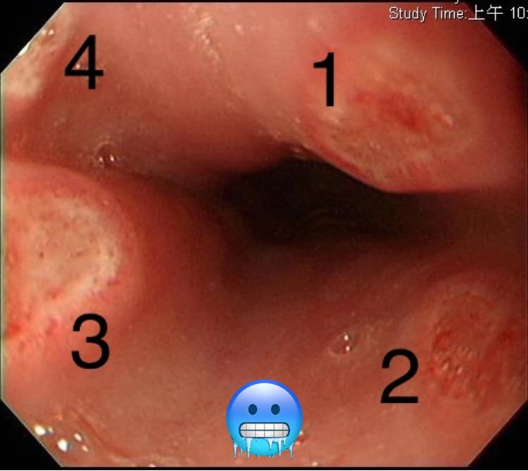 305929884_450134583801532_649080984587139334_n