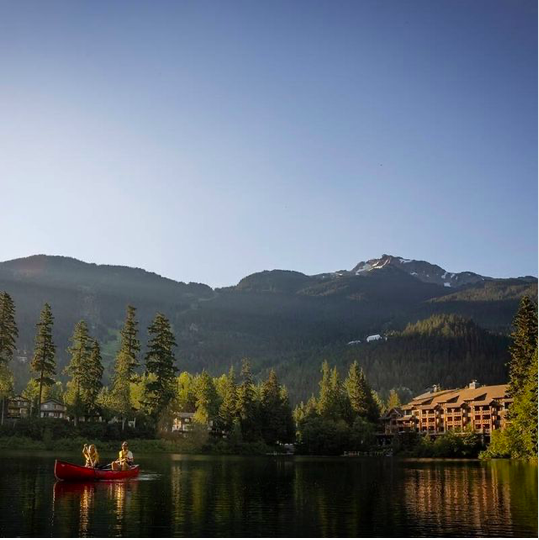 Screen Shot 2022-10-12 at 4.46.35 PM