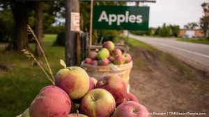 apples-bern-kroupa-2