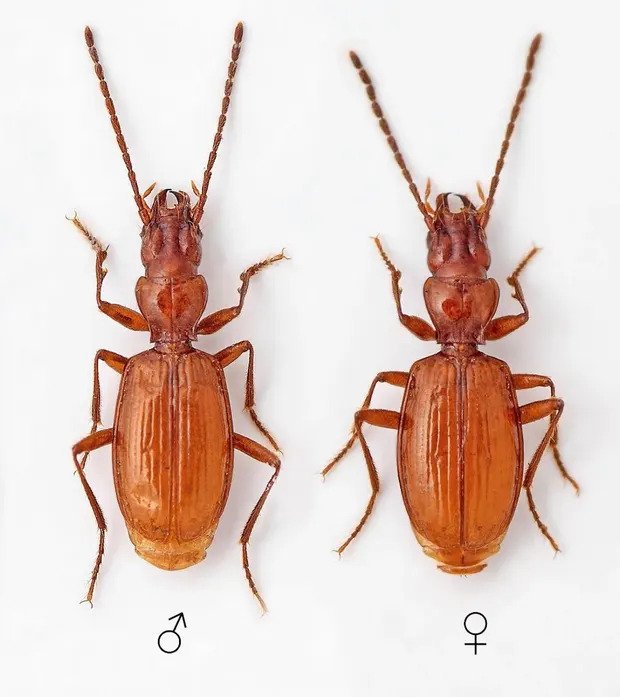 ezgif.com-gif-maker_0