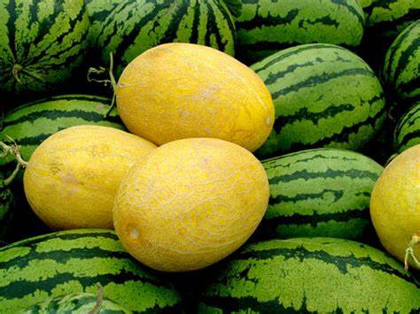 秋分起不宜食用瓜果