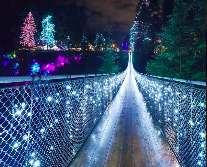 Screen Shot 2022-11-11 at 9.24.00 AM