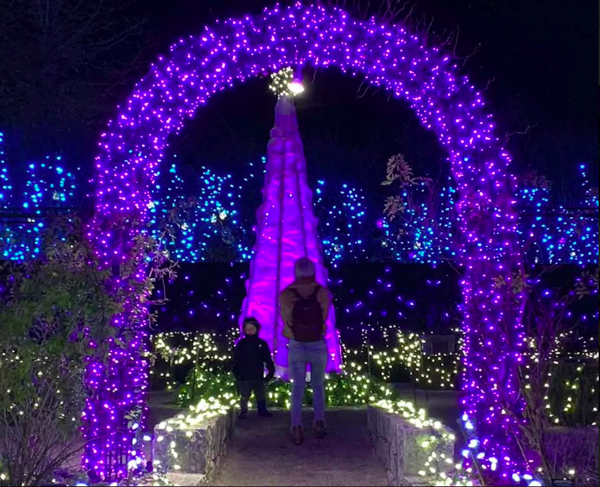 Screen Shot 2022-11-11 at 9.24.35 AM