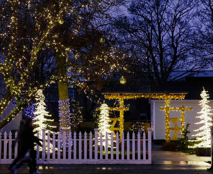 Screen Shot 2022-11-11 at 9.24.58 AM