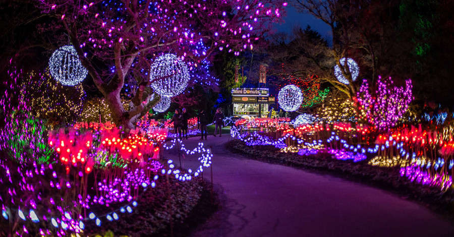 festival-of-lights-display-facebook