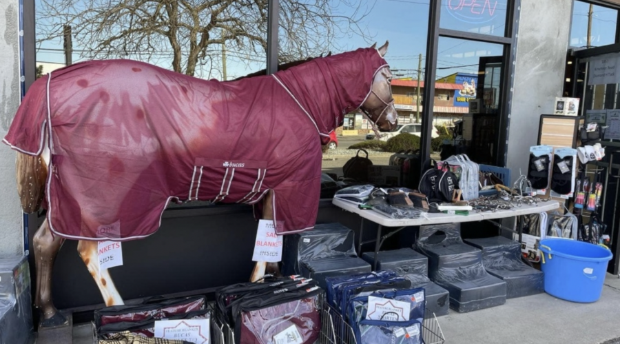 Screen Shot 2022-12-24 at 8.59.53 AM