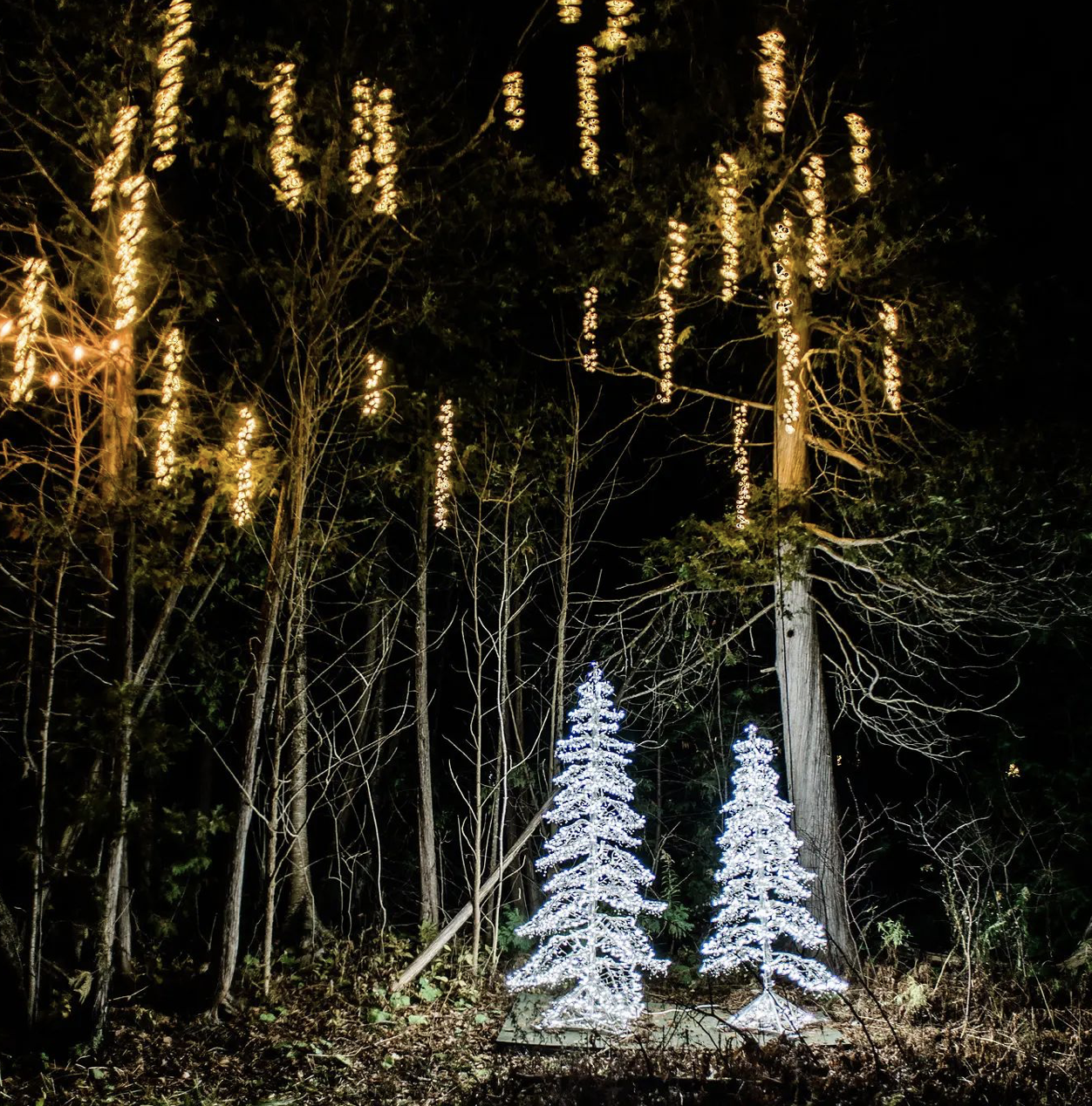 Screenshot 2022-12-04 at 11.31.02 PM