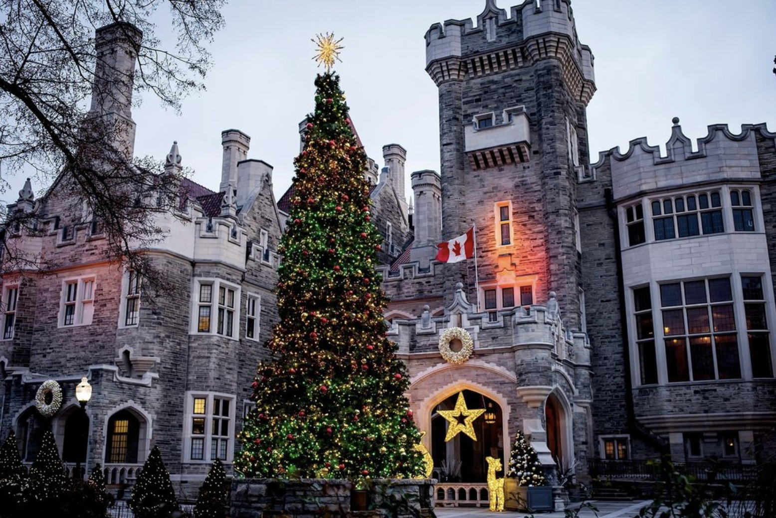 Screenshot 2022-12-06 at 9.53.01 PM