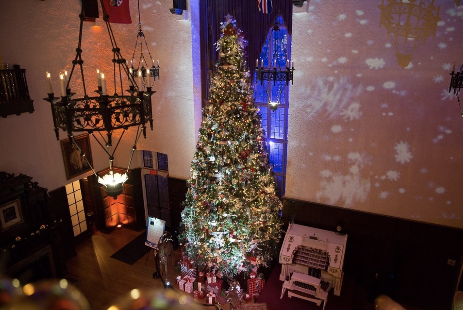 Screenshot 2022-12-06 at 9.53.16 PM