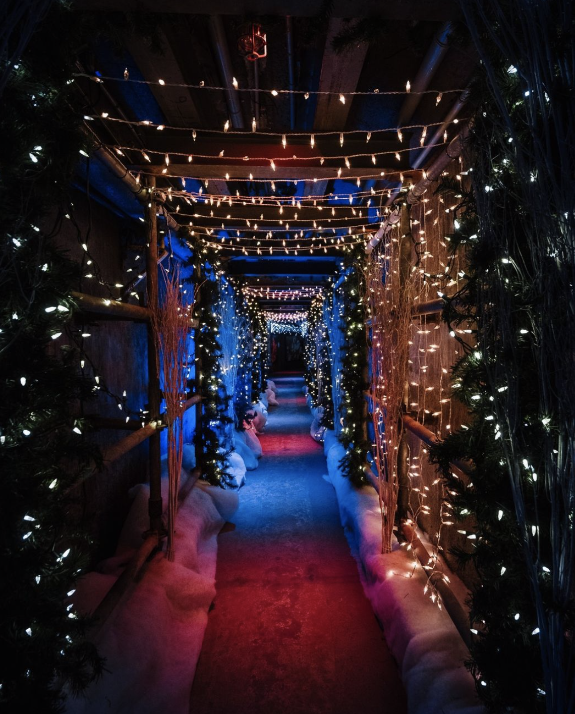 Screenshot 2022-12-06 at 9.54.27 PM