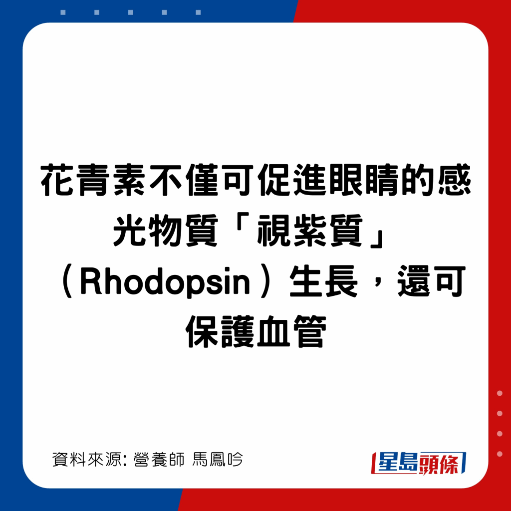 20221208_health_cabbbage1_8