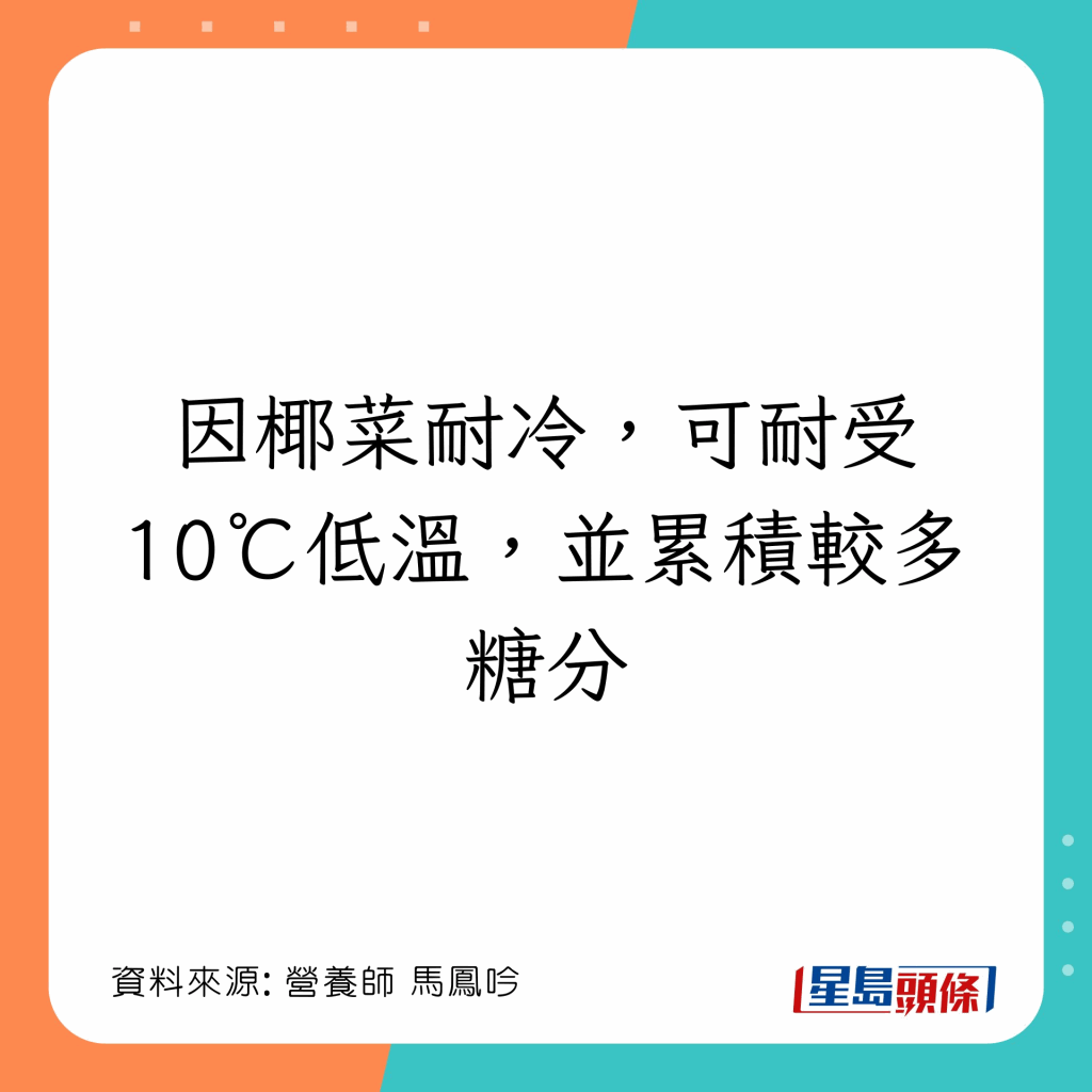 20221208_health_cabbbage2_8