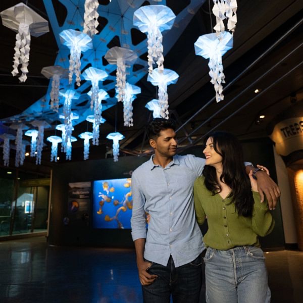 C79941F8-6F74-401C-BF61-081EA5FFB15D