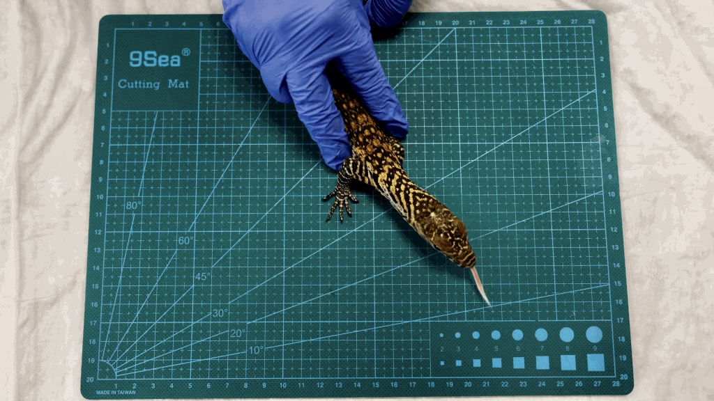 EABF14E1-6F64-4FE2-A9AE-5E71C19FD621