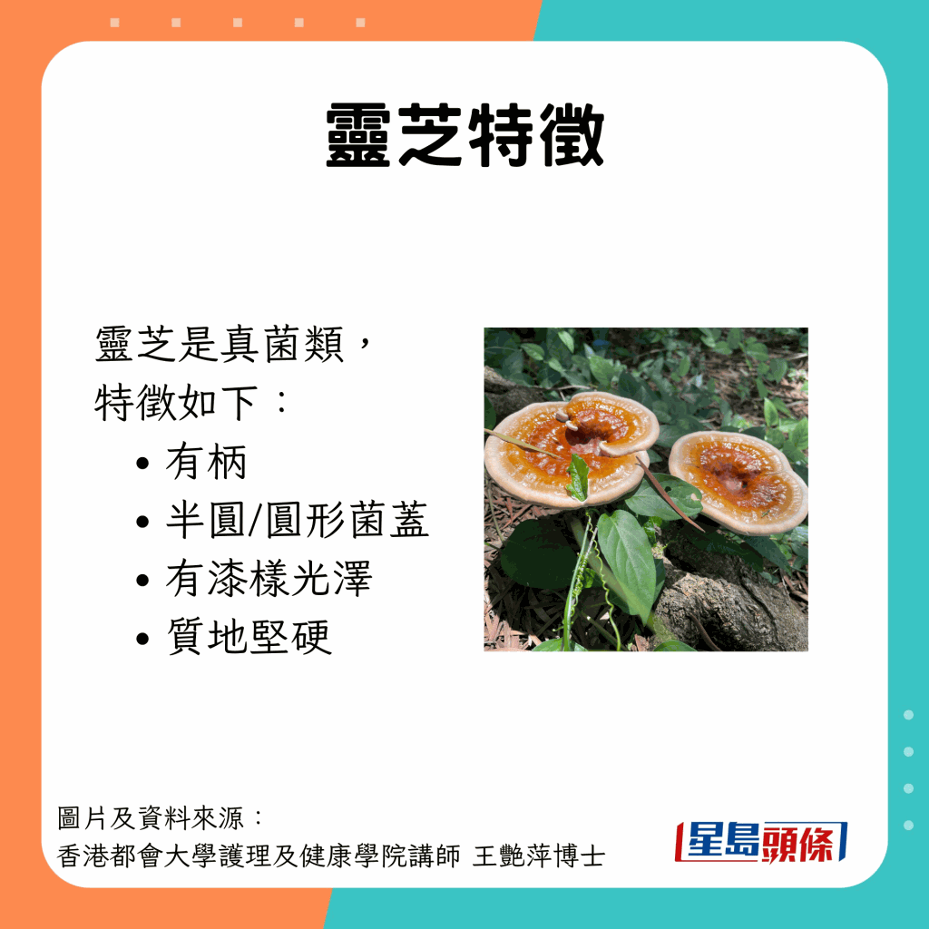 Ganoderma_A03