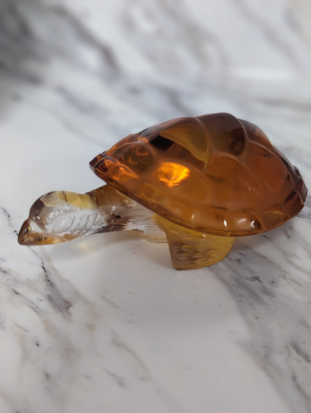 350689456_250947934292605_846856221372919012_n