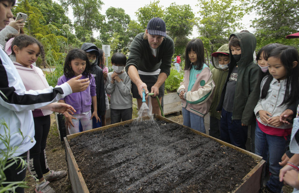 伯恩斯教學童們為農作物灌溉。星島記者夏鎮權攝