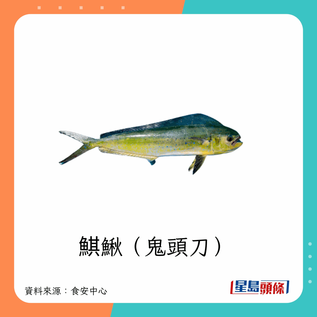 fish_A05