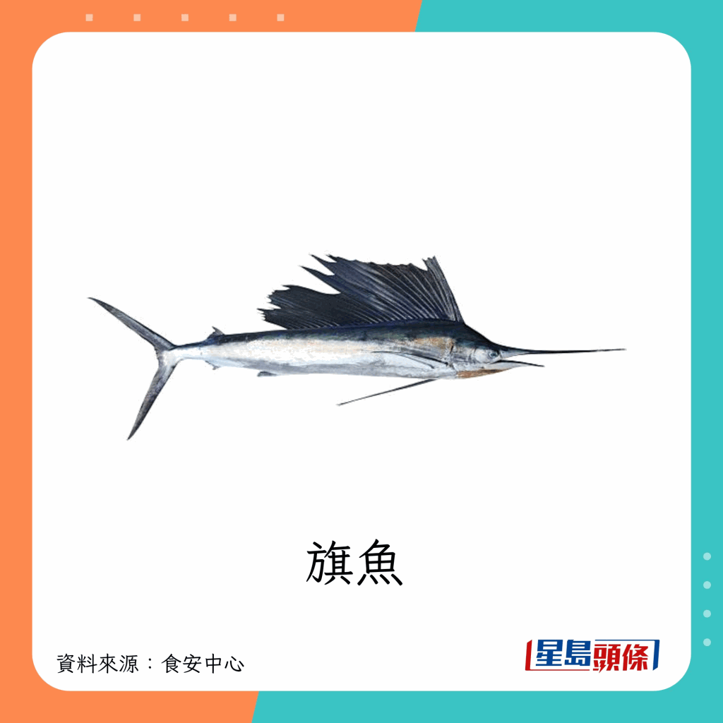 fish_A07