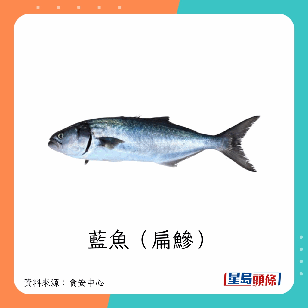 fish_A08