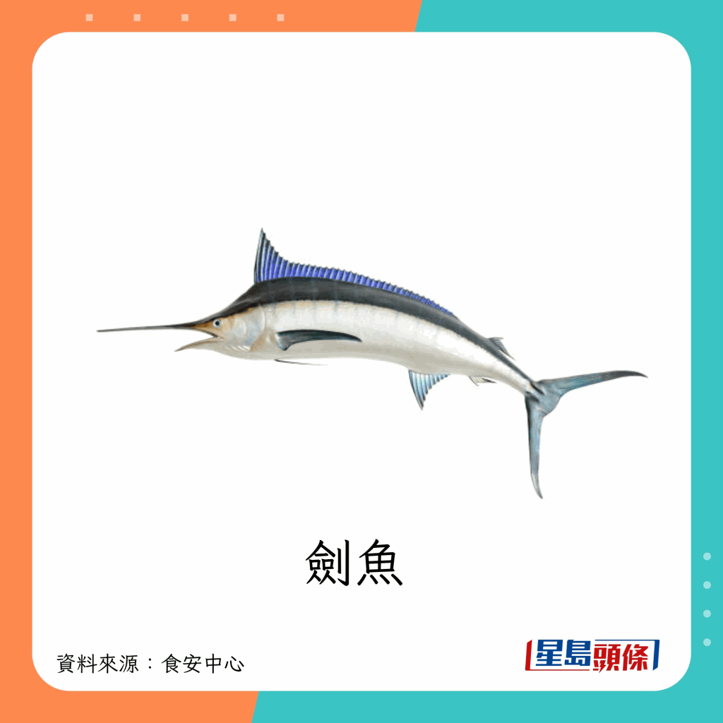 fish_A11