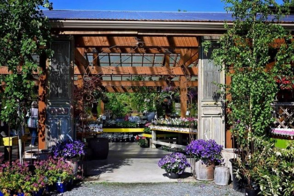 C678E46E-32C6-4420-B5C9-C2B643DEAFCE