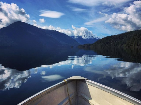 E95ECABC-8DB5-433A-93E3-4841C9AEA3C9