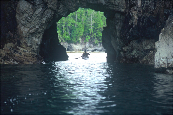 Screen Shot 2023-07-08 at 4.08.52 PM