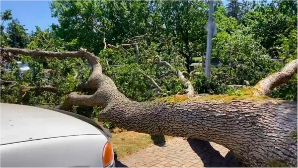 Screen Shot 2023-07-15 at 3.38.27 PM