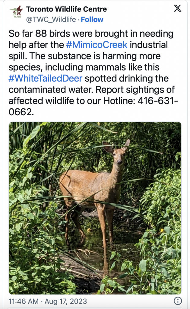 Screen Shot 2023-08-19 at 6.28.51 AM