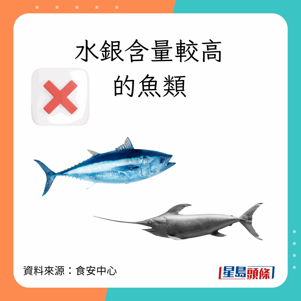 fish_danger_1