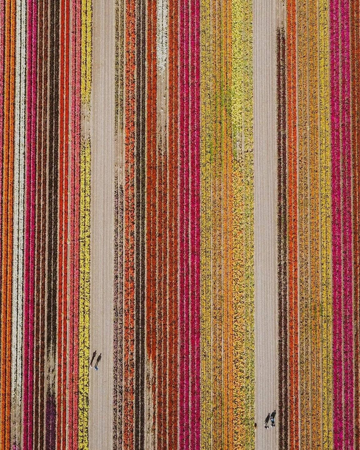 345447344_140785012312801_4631293277876079857_n