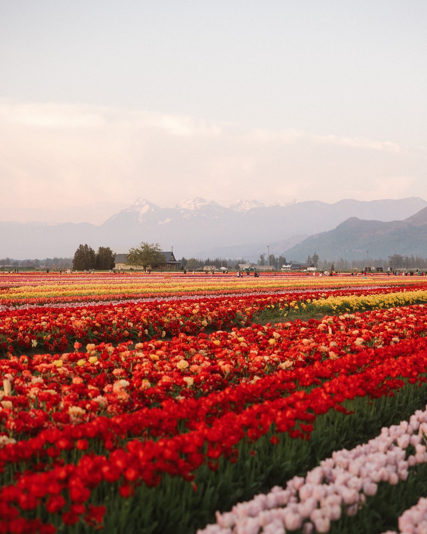 435003835_414448587900115_8882062763708407517_n