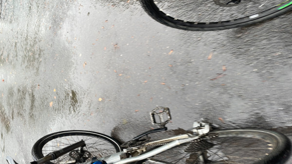 F033D9AD-2EC4-44EB-BE73-5F3E51031009