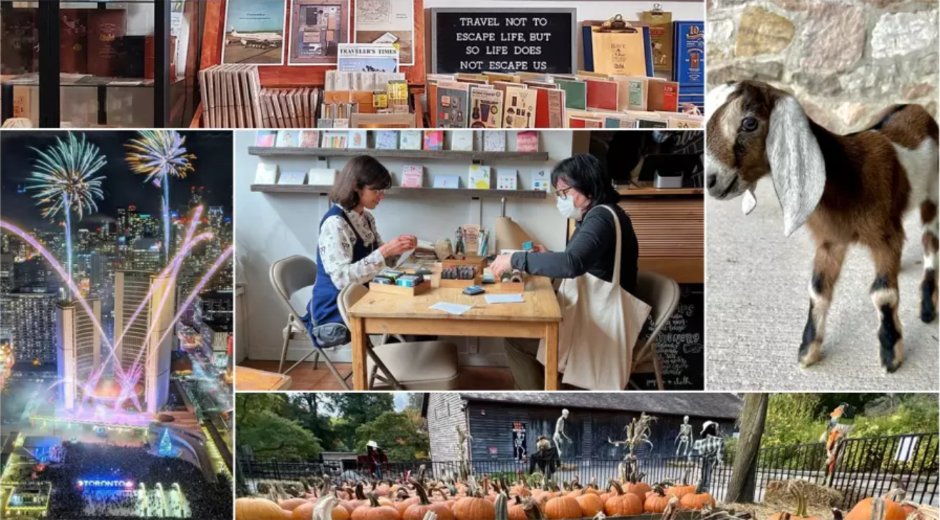 螢幕擷取畫面 2024-10-16 052128