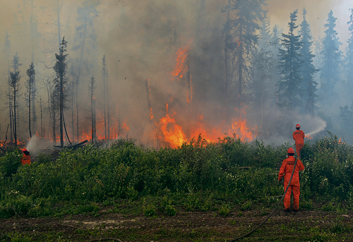 從數據看加西大火有多嚴重 煙霧已飄至魁北克