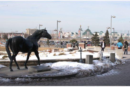 莊德利：支持活拜馬場擴賭 全因能創更多職位