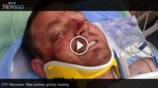 大難不死：突遭襲擊 B.C.男子母熊掌下逃生